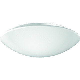 RZB Flat basic armatuur led 3000K 21W 2200LM ip43