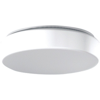 RZB Flat polymero kreis armatuur led 4000K 14W 1550LM ip40