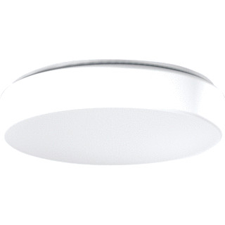 RZB Flat polymero kreis armatuur led 4000K 14W 1650LM ip40