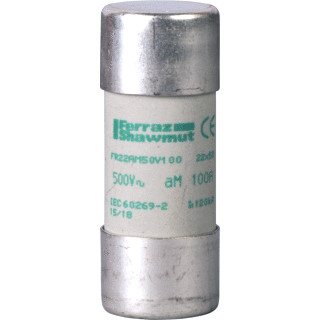 Schneider Electric buisveiligh.22x58am 100a