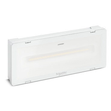 Schneider Electric Exiway Smartled Noodunit, exiway smartled, power control, 300LM, 230vac, 216VDC, ip65,