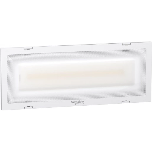 Schneider Electric exiway trend activa ip42 250LM multi