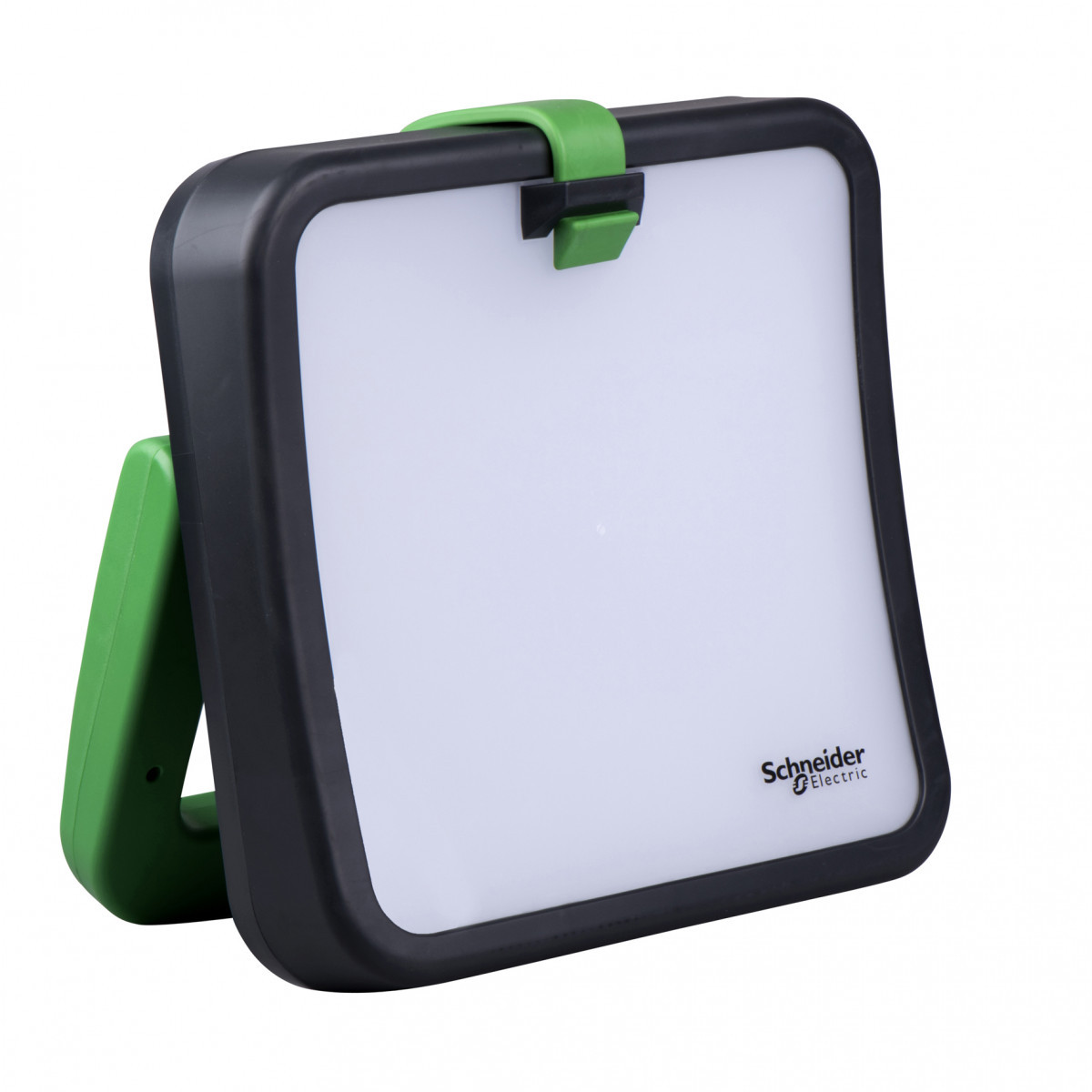 Schneider Electric Thorsman werklamp 50W