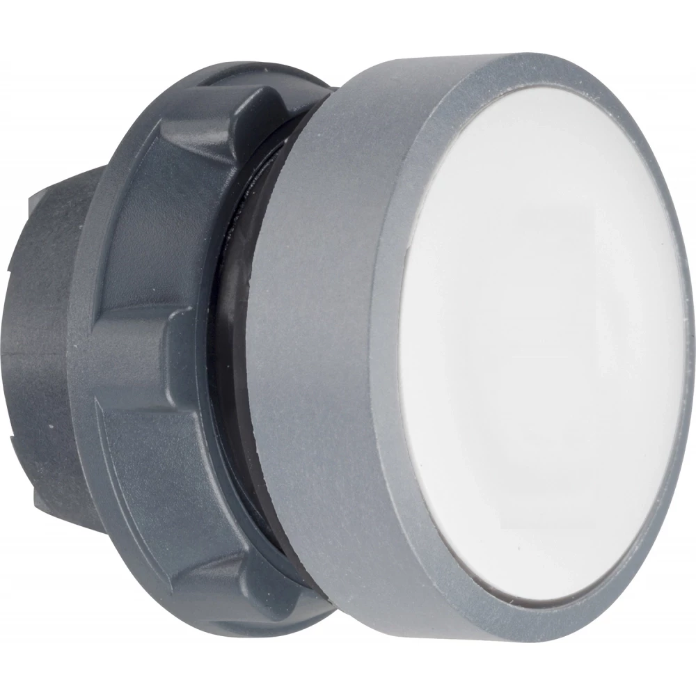 Schneider Electric kop drukknop wit "i"