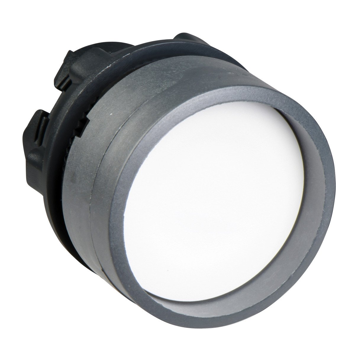 Schneider Electric Harmony XB5 White Pushbutton head recessed colour plated grey