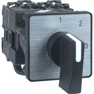 Schneider Electric hoofdschakelaar 2P