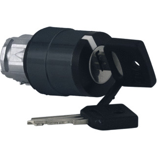 Schneider Electric kop sleutelschak.2 pos.