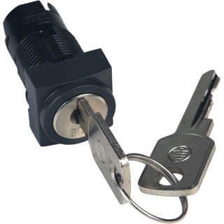 Schneider Electric kop sleutelschak.2 standen ronis 200 Schneider Electric kop sleutelschak.2 standen ronis 200