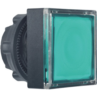 Schneider Electric kop verl.drukknop P-led GR