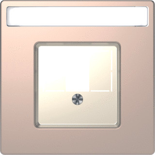 Merten Systeem D onderdeel/centraalplaat basiselement met centrale afdekplaat metaal beige