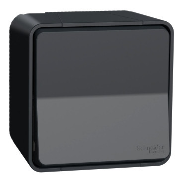 Schneider Electric Mureva Styl Mureva STYL diy - tweepolige schakelaar - grijs / antraciet