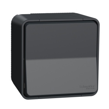 Schneider Electric Mureva Styl Mureva STYL diy - wisselschakelaar - grijs / antraciet