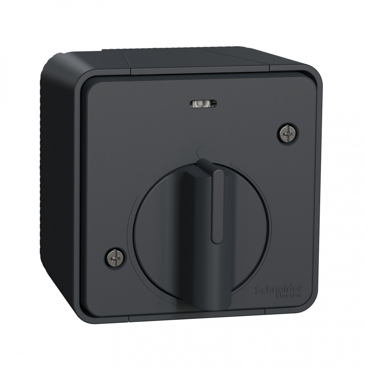 Schneider Electric Mureva Styl Mureva STYL - compleet - schakelaar tijdvertraging - led lamp - ip55 -