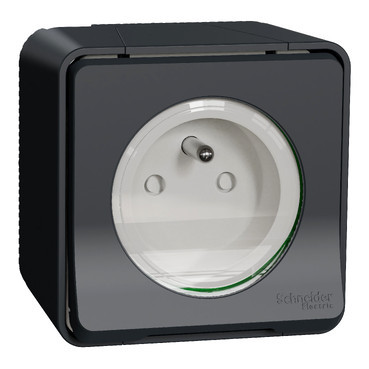 Schneider Electric Mureva Styl Mureva STYL WCD 1V klapd ip55 grijs pen