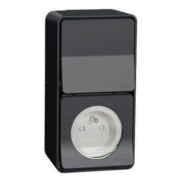 Schneider Electric Mureva Styl Mureva STYL WCD + wisselschak grijs pen