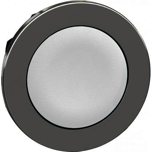 Schneider Electric personaliseerbare verzonk.drukkn.wit