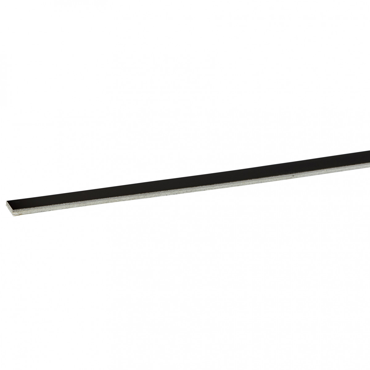 Schneider Electric PrismaSeT Prisma P&G (10 strips) zwart 900MM