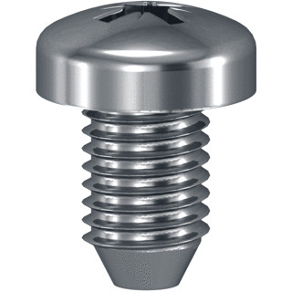 Sarel Self tapping screws (1ST=100)