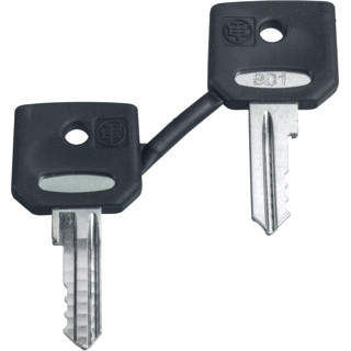 Schneider Electric set sleutels ronis 3131a