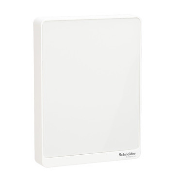 Schneider Electric SpaceLogic™ Duct and Plant Room Air Luchtkwaliteitssensor, luchtvochtigheid, temperatuur, ruimte, bacnet M
