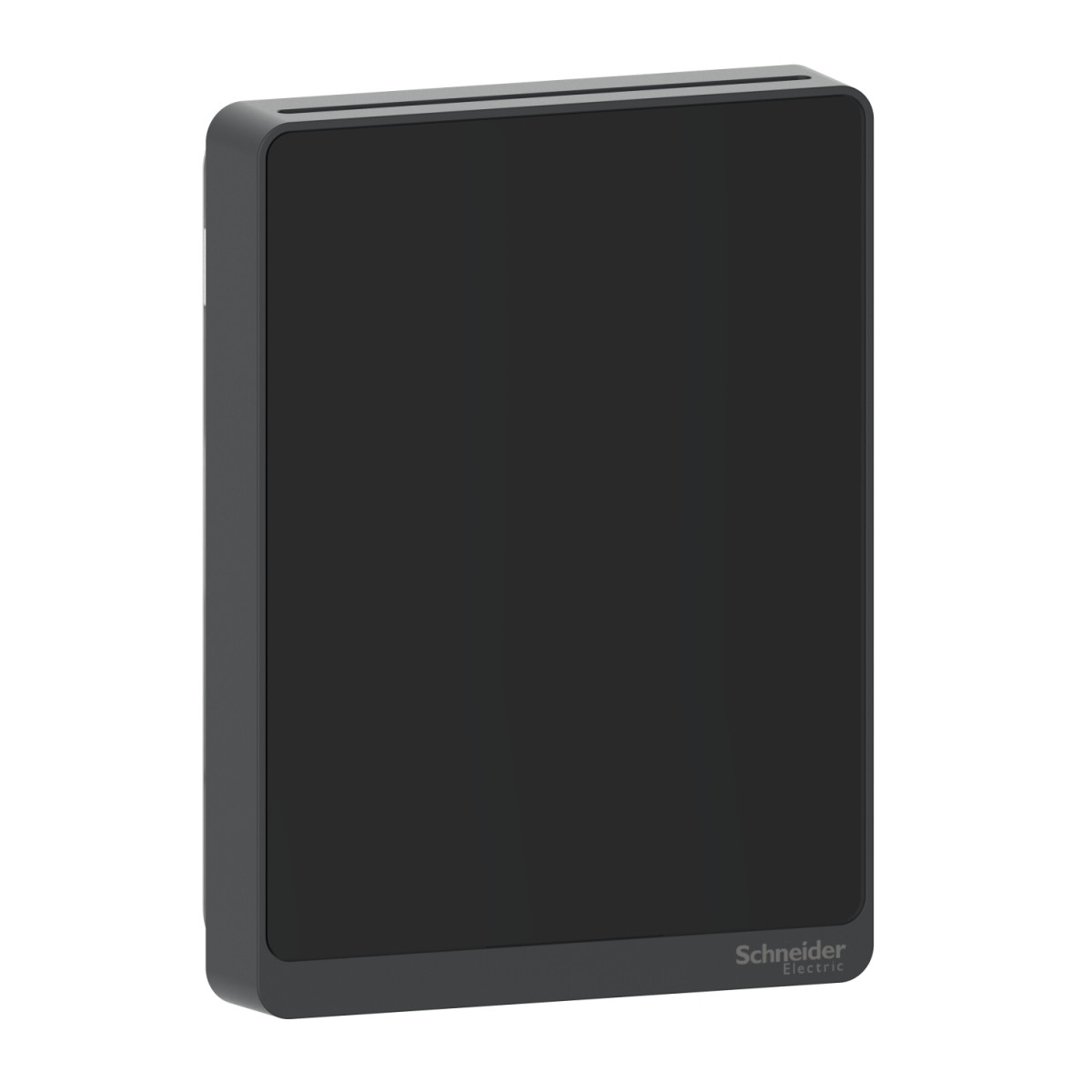 Schneider Electric SpaceLogic™ Living Space Analog & P Luchtkwaliteitssensor, luchtvochtigheid, temperatuur, ruimte, analoge