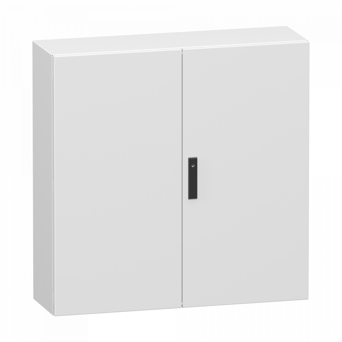 Schneider Electric PanelSeT CRN Double Plain steel door, panelset CRN, without mounting plate, 1000x10