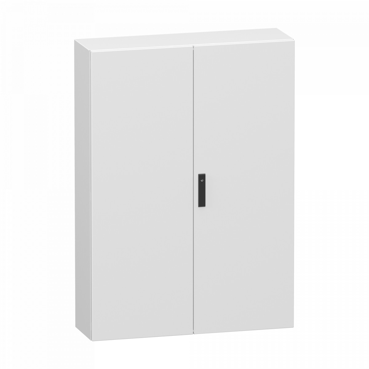 Schneider Electric PanelSeT CRN Double Plain steel door, panelset CRN, without mounting plate, 1400x10