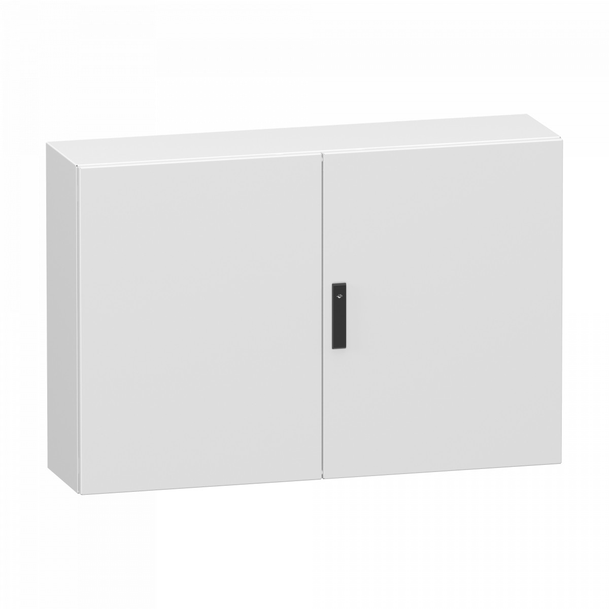 Schneider Electric PanelSeT CRN Double Plain steel door, panelset CRN, without mounting plate, 800x120