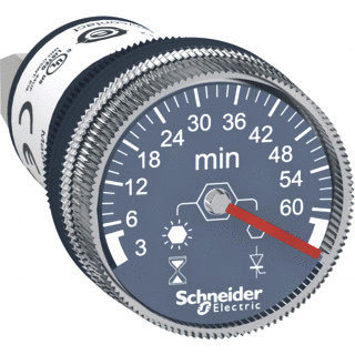 Schneider Electric timer monofunctie 3 min to 60 min 100