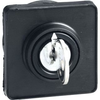 Schneider Electric kop nokkenschakelaar ronis 455 sleutel