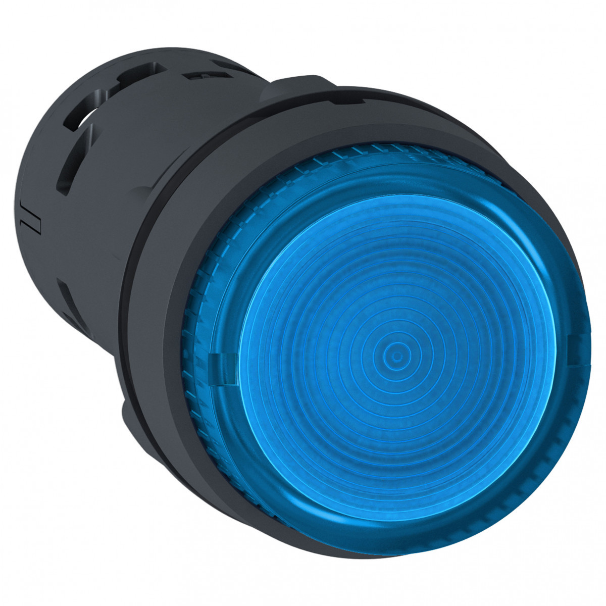 Schneider Electric verlichte drukkn.imp.-led-BL.-24V