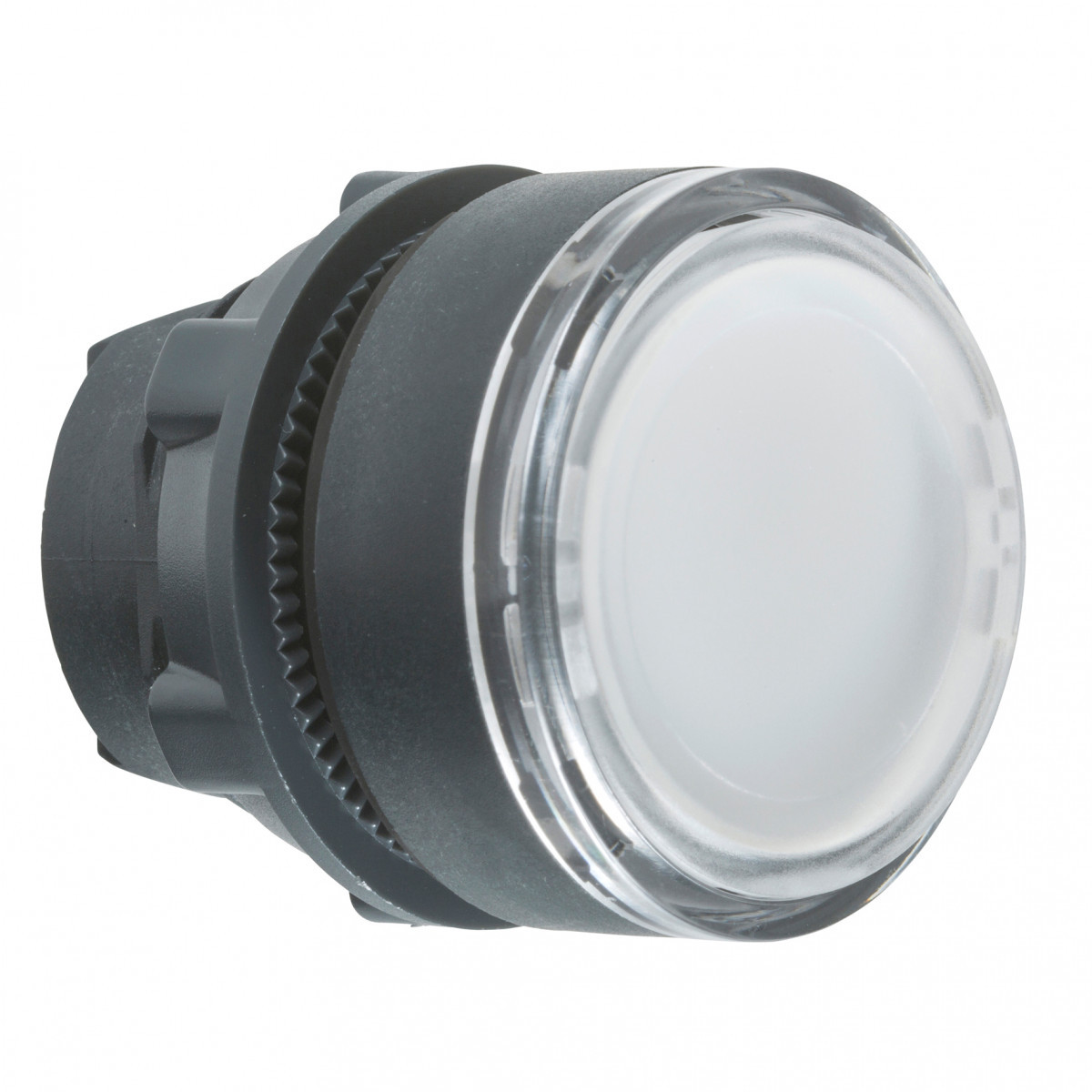 Schneider Electric kop kunststof voor legende wit