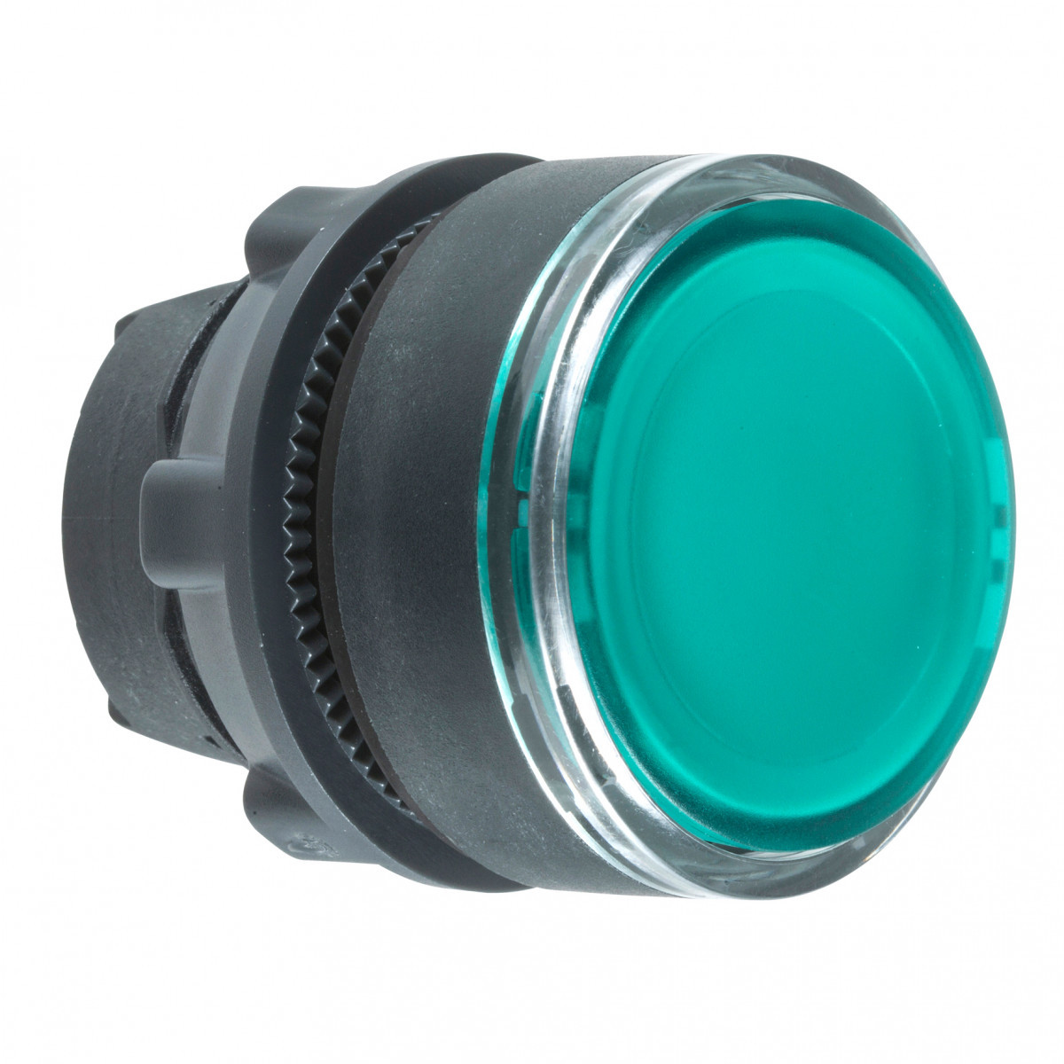 Schneider Electric kop kunststof voor legende groen