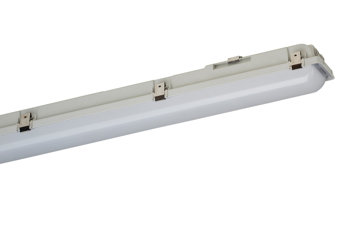 Schuch PROXIMA Proxima 161PX 15L60 LM T40