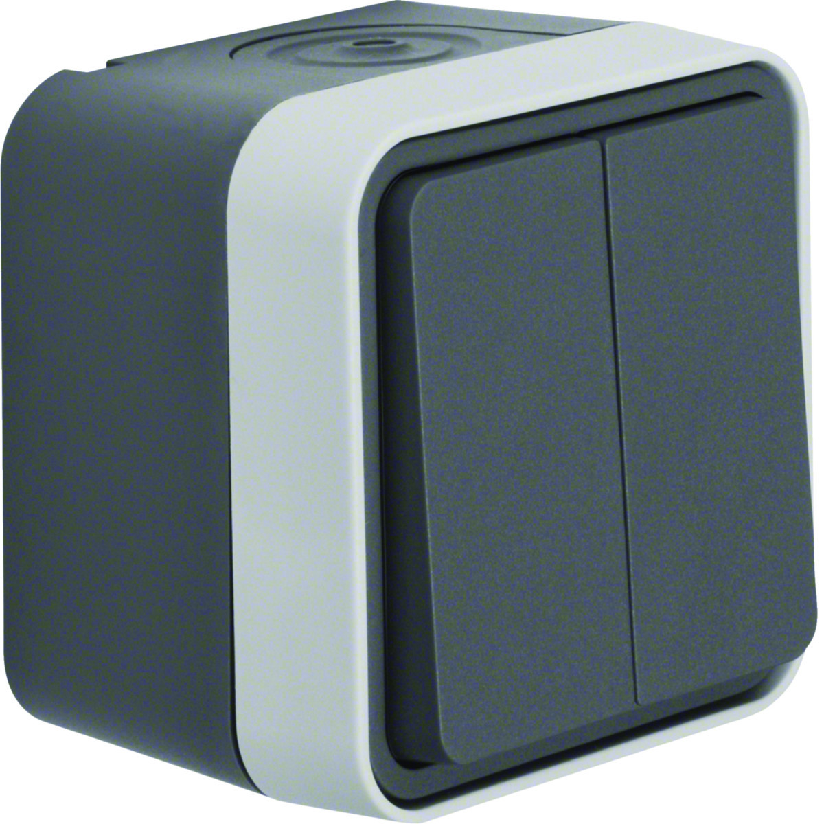 Serieschakelaar Met behuizing, W.1 eco, grijs