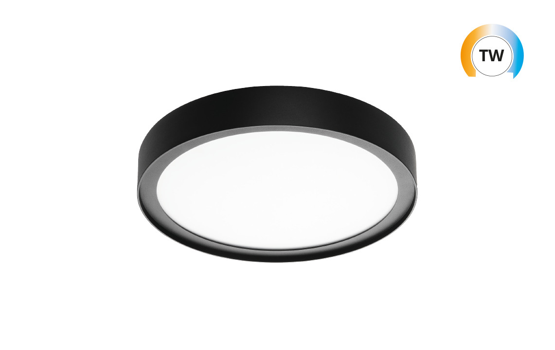SG Disc 290 zwart TW dali DT8