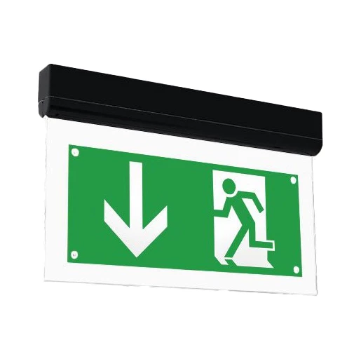 Normalux Ecolight signal noodverlichtingsarmatuur plafondopbouw zwart ip20 met pictogram