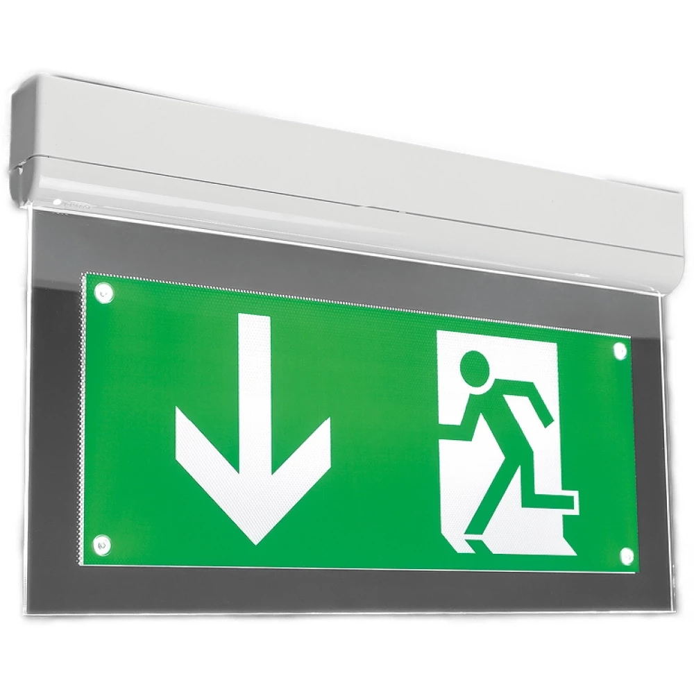 Normalux Ecolight signal noodverlichingsarmatuur vluchtwegindicatie plafondopbouw wit ip20 met pictogram