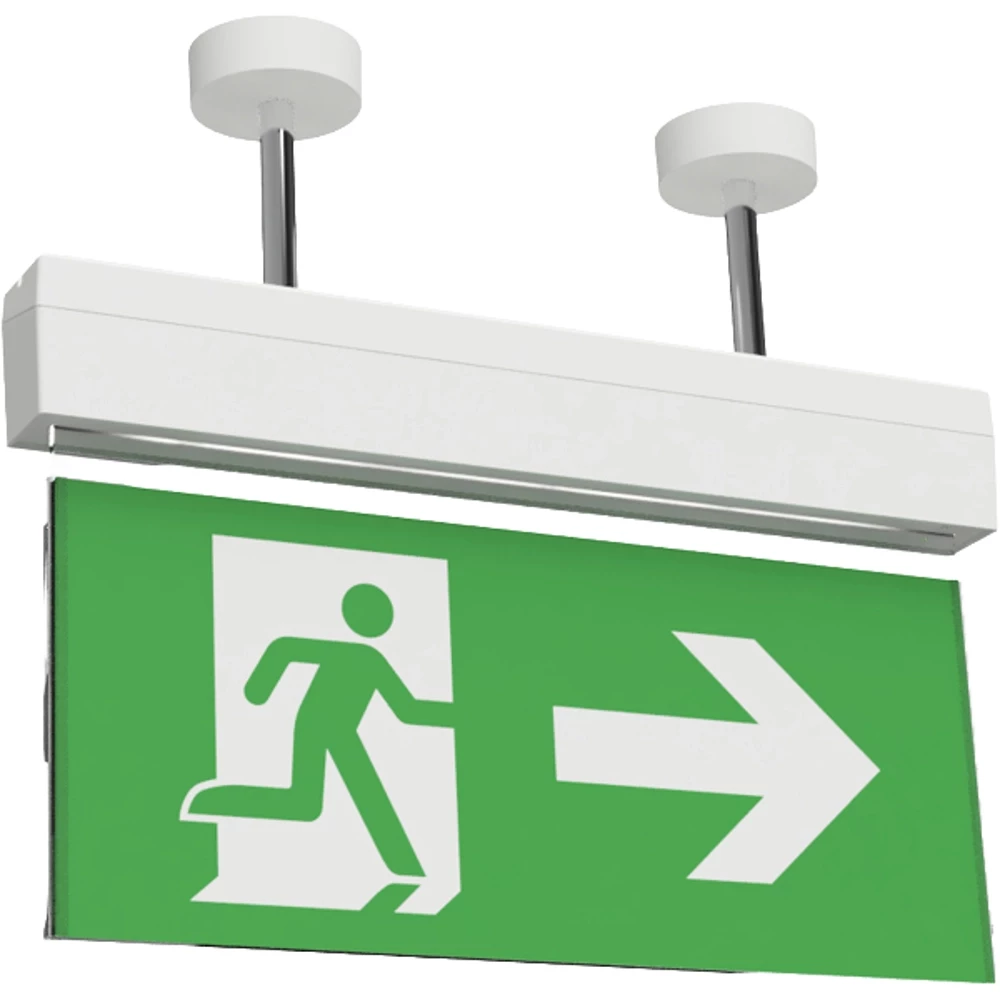 Signal Pendelset 100MM wit