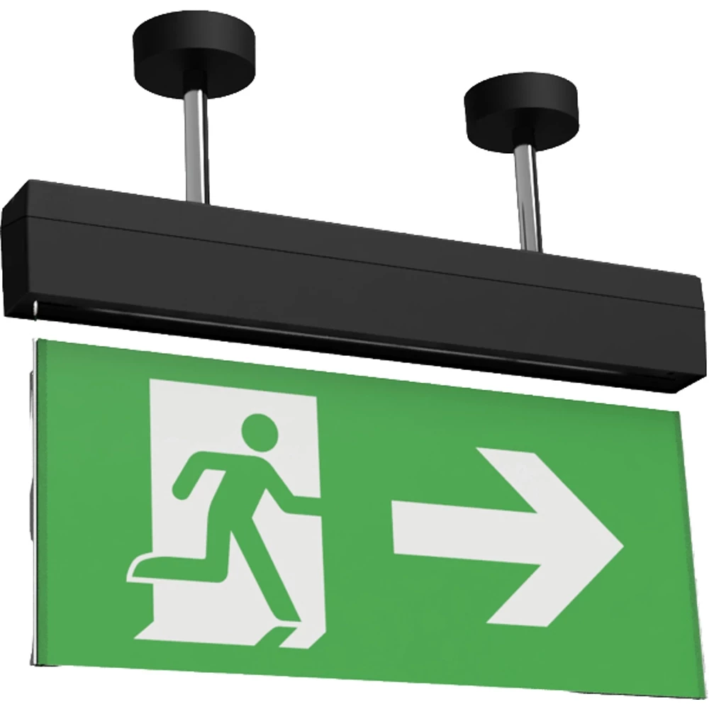 Signal Pendelset 100MM zwart