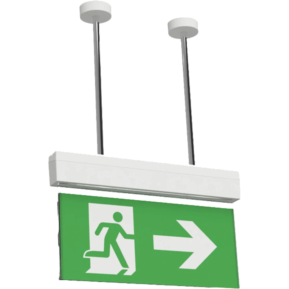 Signal Pendelset 300MM wit