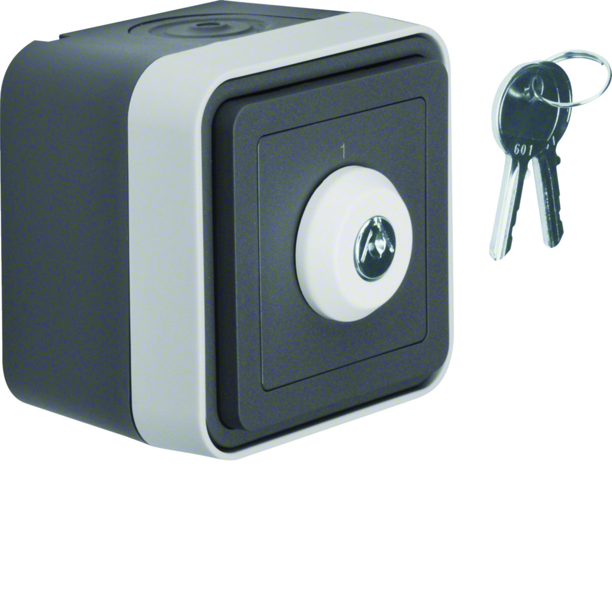 Sleutel-Wisselschakelaar met behuizing, W.1, grijs