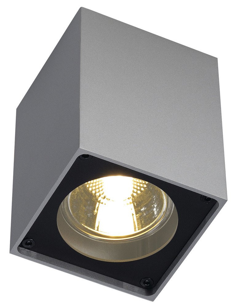 SLV Altra dice armatuur gu10 hoogvolt halogeenlamp 70MM ip20