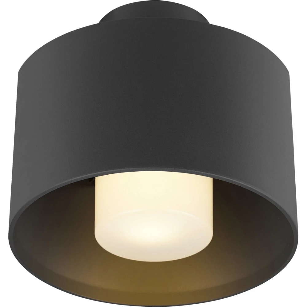 SLV Photoni CYL plafond zwart 1X e27