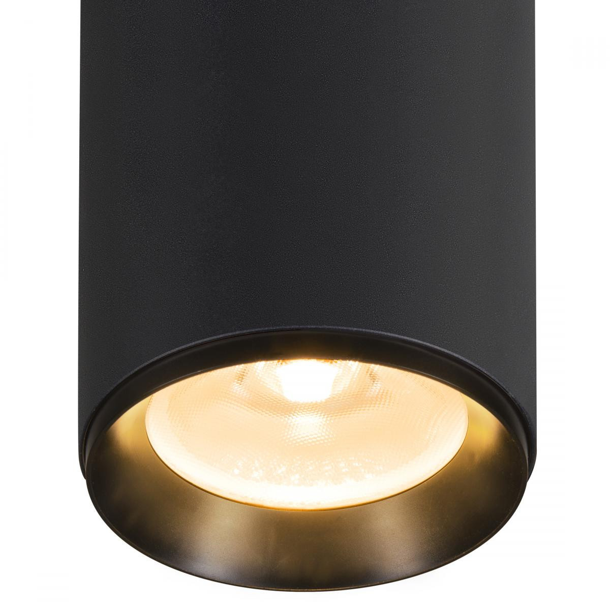 SLV NUMINOS Numinos® Spot dali XL, plafondopbouwarmatuur zwart 36W 2700K 60°