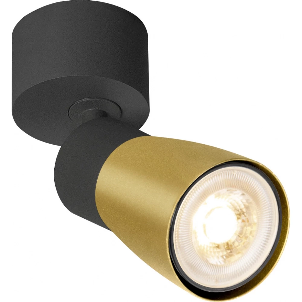 SLV Puri 2.0 dome CW single ZW/go 1X gu10