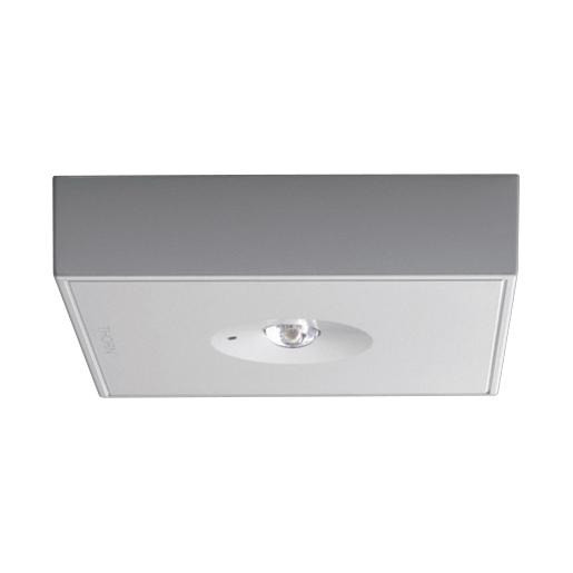 Thorn Voyager noodverlichtingsarmatuur C area mce e3m sil led ip40