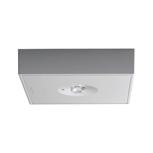 Thorn Voyager noodverlichtingsarmatuur C spot mce e3m sil led ip40