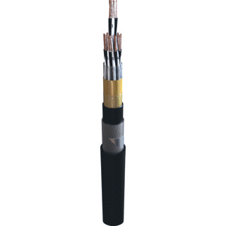 TKF RE-2XSTYS 2X,75      RI100