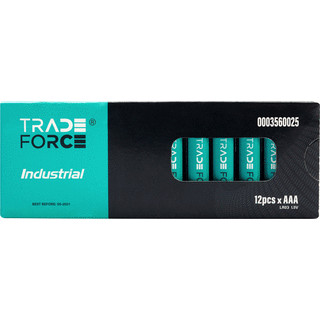 Tradeforce BATT ALK AAA    1,5V DS12